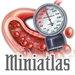 Miniatlas Hypertension
