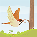 WoodPecker - The Tree Trunk Breaker !!